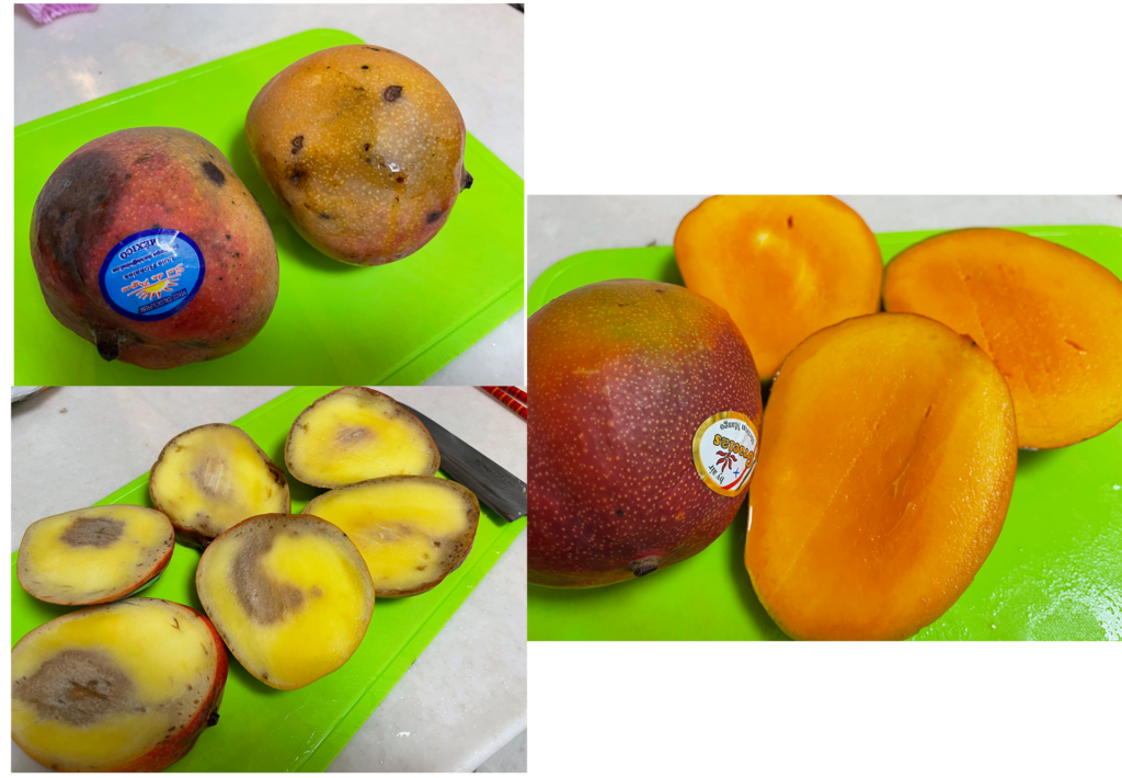 Mangos from ocean shipment and air shipment